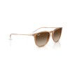 Ray-Ban Erika RB 4171 (681413)