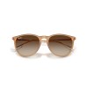 Ray-Ban Erika RB 4171 (681413)