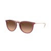 Ray-Ban Erika RB 4171 (6815A5)