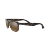 Ray-Ban Chromance RB 4263 (894/A3)