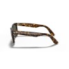Ray-Ban Wayfarer Ease RB 4340 (710)