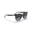 Ray-Ban RB 4378 (601/8G)
