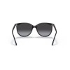 Ray-Ban RB 4378 (601/8G)