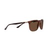 Ray-Ban RB 4386 (6652AN)