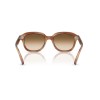 Ray-Ban Erik RB 4398 (140351)