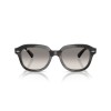 Ray-Ban Erik RB 4398 (140432)