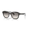 Ray-Ban Erik RB 4398 (140432)