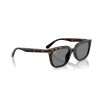 Ray-Ban RB 4439D (710/87)