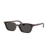 Ray-Ban Zaya RB 4456 (135987)
