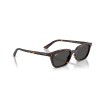 Ray-Ban Zaya RB 4456 (135987)