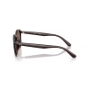 Ray-Ban RB 4459D (623173)