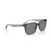 Ray-Ban RB 4466D (645087)