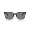 Ray-Ban RB 4466D (645087)