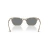 Ray-Ban RB 4474D (685887)