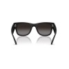 Ray-Ban RB 4840S (601ST3)