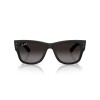 Ray-Ban RB 4840S (601ST3)