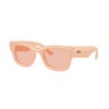 Ray-Ban Wayfarer Puffer RB 4940 (687584)