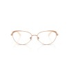 Ralph Lauren RL 5131 (9329)
