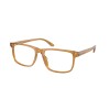 Ralph Lauren RL 6225U (5275)