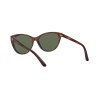 Ralph Lauren RL 8186 (500771)