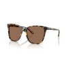 Ralph Lauren RL 8201 (500473)