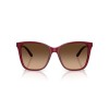 Ralph Lauren RL 8201 (591274)