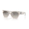 Ralph Lauren The Overszed Ricky RL 8221 (611208)