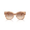 Ralph Lauren The Overszed Ricky RL 8221 (617913)