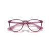 Ray-Ban Erika RX 7046 (8509) - RB 7046 8509