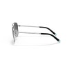 Tiffany TF 3074 (6001T3)