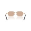 Versace VE 2297 (1252/5)