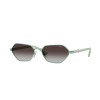 Vogue VO 4349S (52158G)