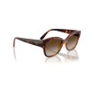 Vogue VO 5638SU (W65613)