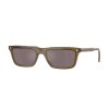 Vogue VO 5687S (3260LB)