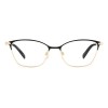 Pierre Cardin P.C. 8872 105605 (2M2)