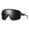 Smith Optics WILDCAT 201516 (003 1C)