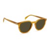 David Beckham DB 1099/S 205307 (C9B QT)