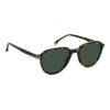 Carrera 342/S 207601 (FTT QT)