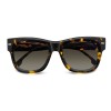 Carrera 3066/S 207950 086 HA