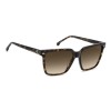 Carrera 3069/S 208319 086 HA