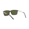 Arnette Calipso AN 4270 (237571)