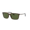 Arnette Calipso AN 4270 (237571)