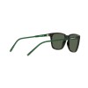 Arnette Cortex AN 4291 (27539A)