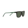 Arnette Cortex AN 4291 (27539A)