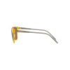 Arnette Cortex AN 4291 (27716G)