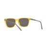 Arnette Cortex AN 4291 (27716G)
