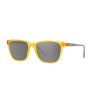 Arnette Cortex AN 4291 (27716G)