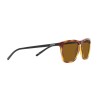 Arnette Fry AN 4301 (277083)