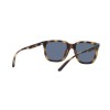 Arnette Plaka AN 4306 (27702V)