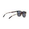 Arnette Plaka AN 4306 (27702V)